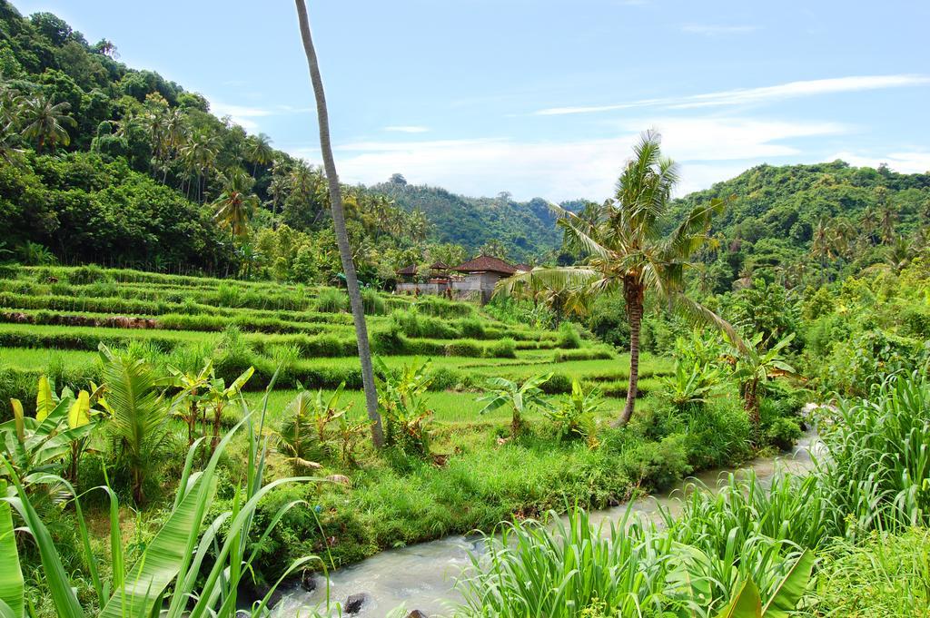 Indo Rumah Zengarden Pabean Buleleng Esterno foto