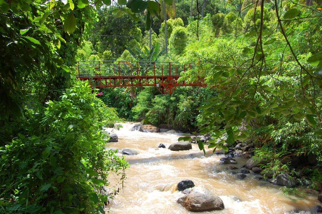 Indo Rumah Zengarden Pabean Buleleng Esterno foto