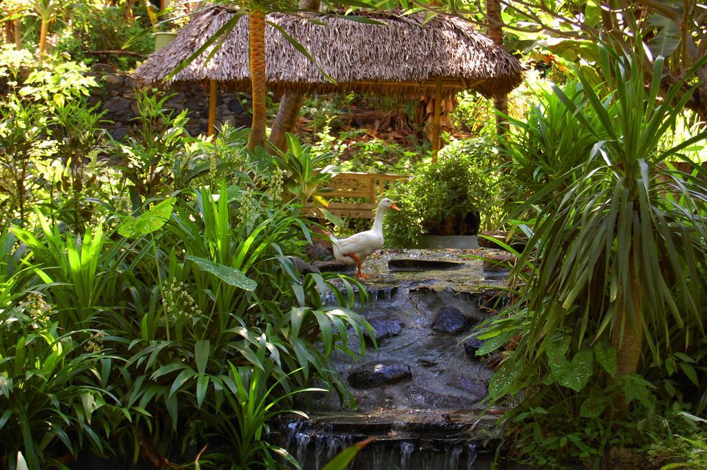 Indo Rumah Zengarden Pabean Buleleng Esterno foto